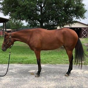 Meet your Posher, Aimee